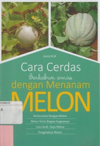 CARA CERDAS BERKEBUN EMAS DENGAN MENANAM MELON