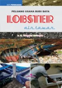 PELUANG USAHA BUDI DAYA LOBSTER