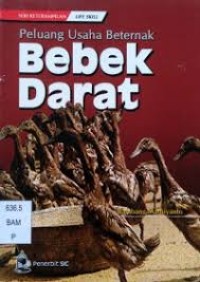 PELUANG USAHA BETERNAK BEBEK DARAT