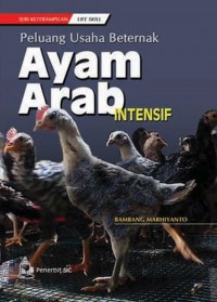 Peluang Usaha Bertenrnak Ayam Arab Intensif